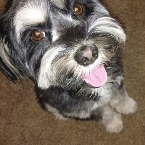 Meet your Posher, Tanya